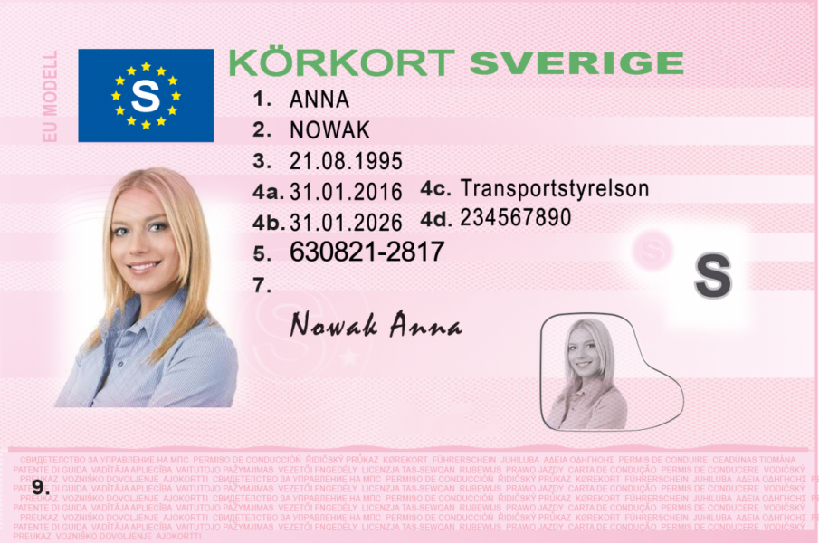 Swedish driving license-1