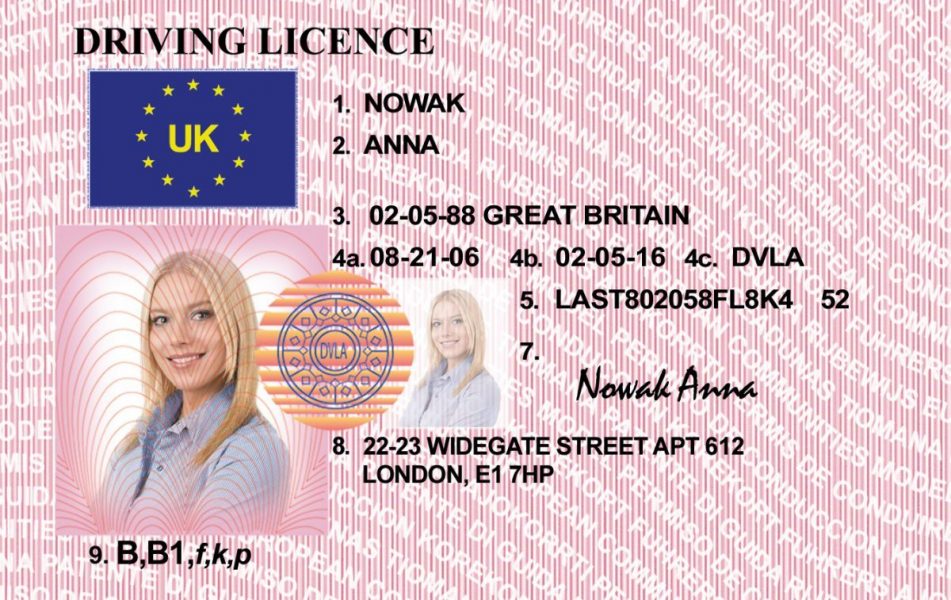 UK Driving licence Old Card-1